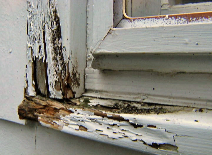 Identify Wet Rot