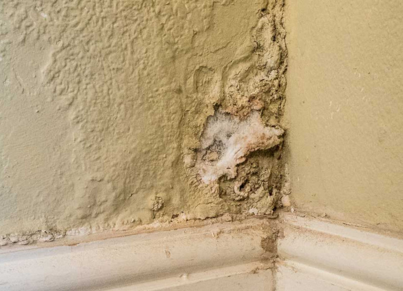 Identify Rising Damp